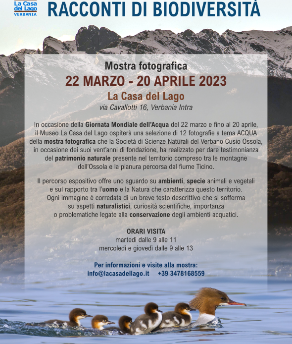 mostra fotografica ossola ticino