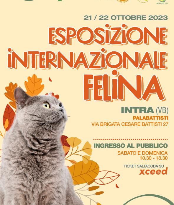 MOSTRA FELINA 21 22 OTTOBRE 2023