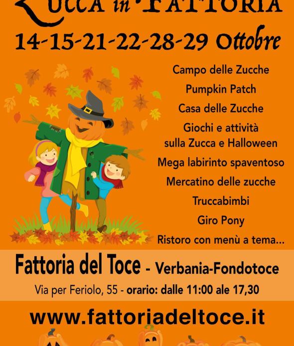 Zucca in Fattoria