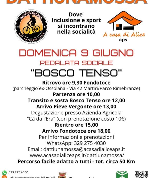 Dattiunamossa 09 06 24