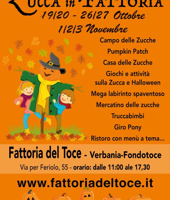 Zucca in Fattoria