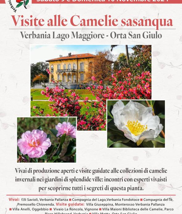 Visite alle Camelie sasanqua