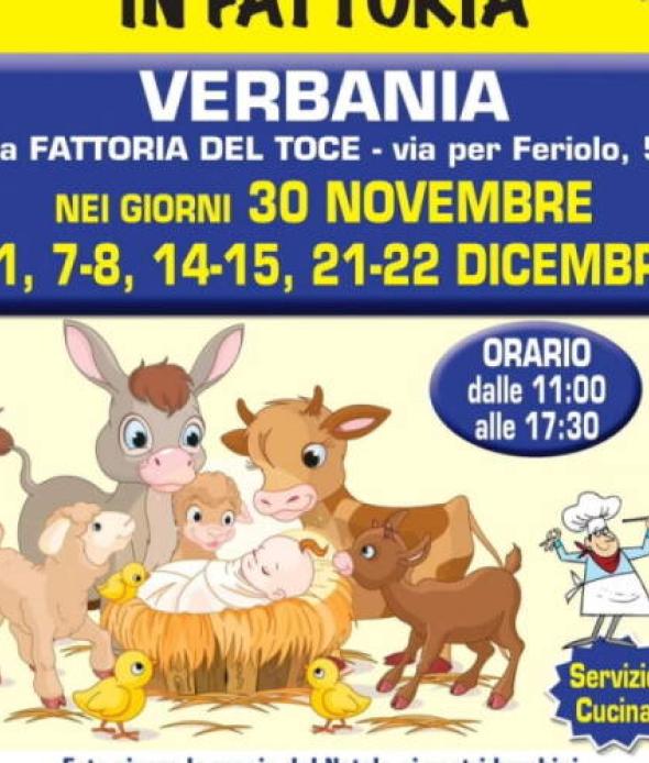 Natale in Fattoria 2024