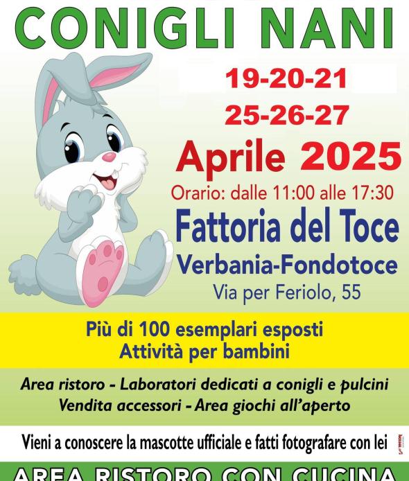 Mostra di Conigli Nani