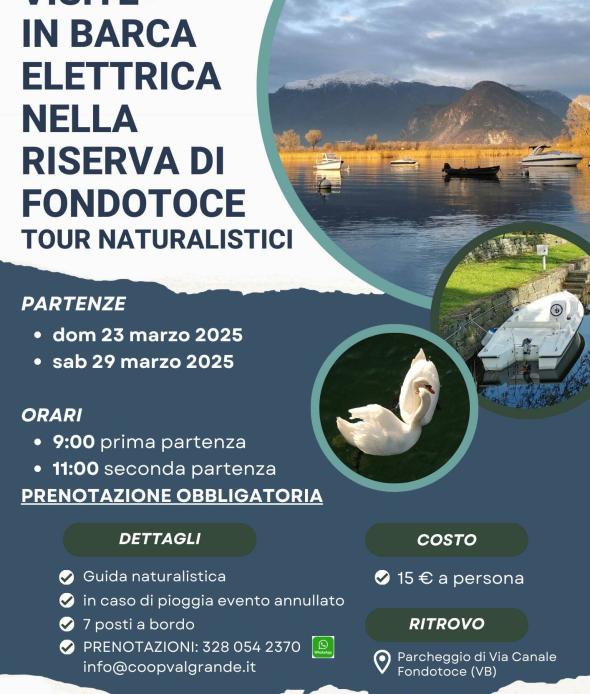 Visite in barca elettrica nella Riserva di Fondotoce