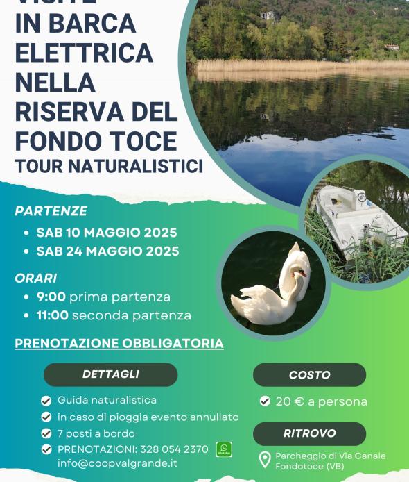 Visite in barca elettrica nella Riserva di Fondotoce