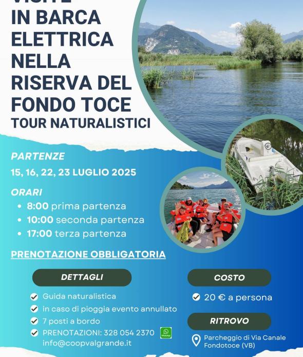 Visite in barca elettrica luglio 2025