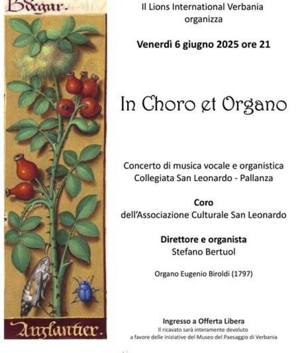 Concerto: In Choro et Organo