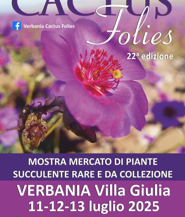 Cactus Folies 2025