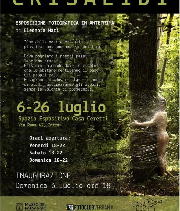 Mostra: Crisalidi