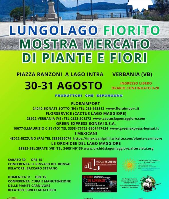 Lungolago Fiorito 1^Edizione