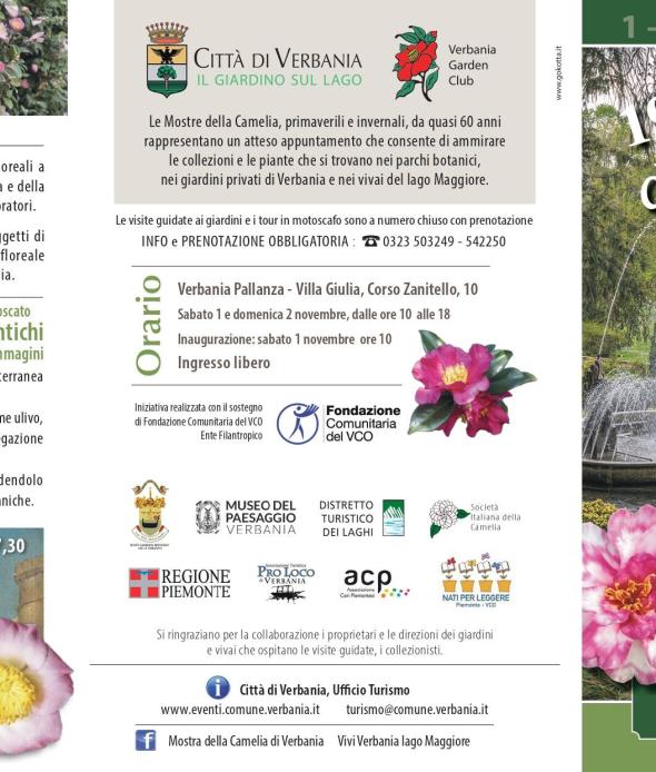 Camelia invernale 2025 front