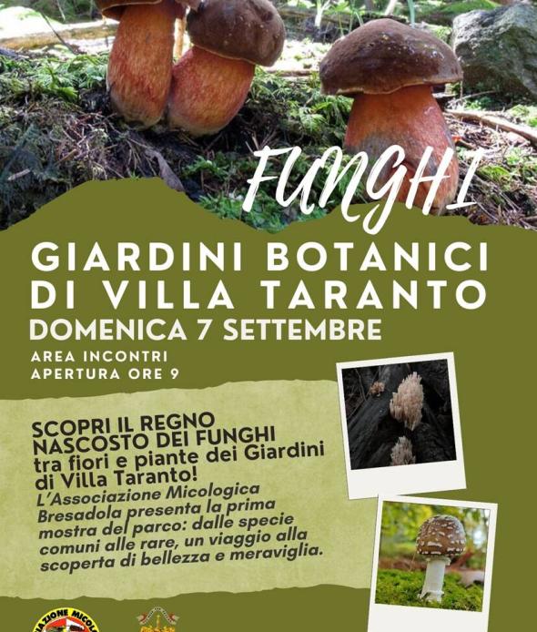 SCOPRI IL REGNO NASCOSTO DEI FUNGHI
