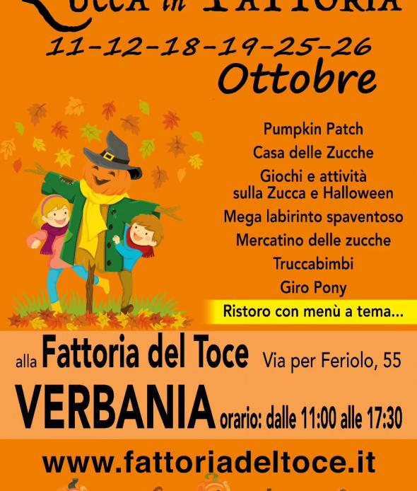 Zucca in Fattoria 2025