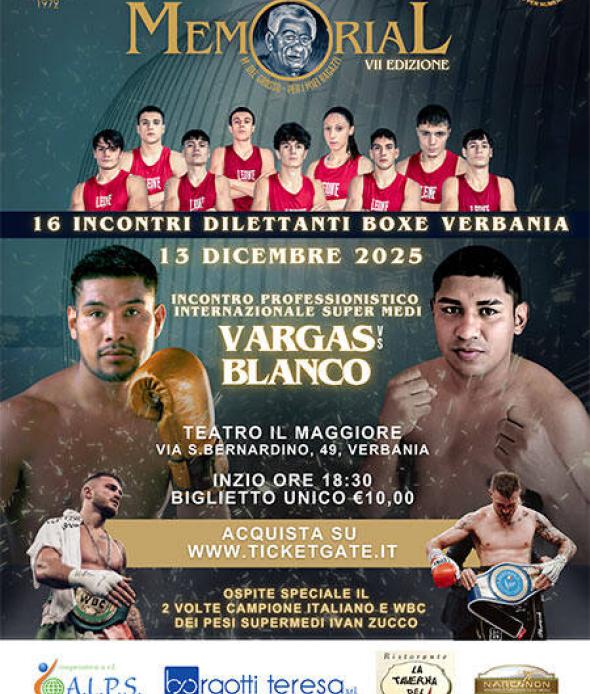 VII Edizione Memorial Matteo Del Grosso