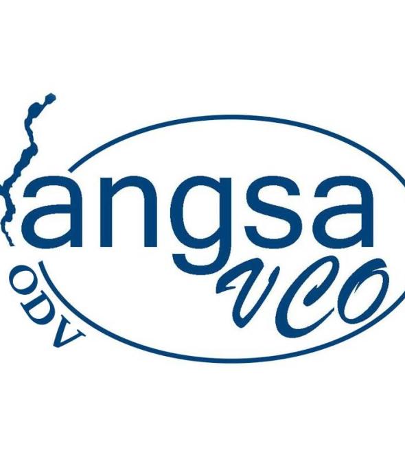 Logo Angsa VCO