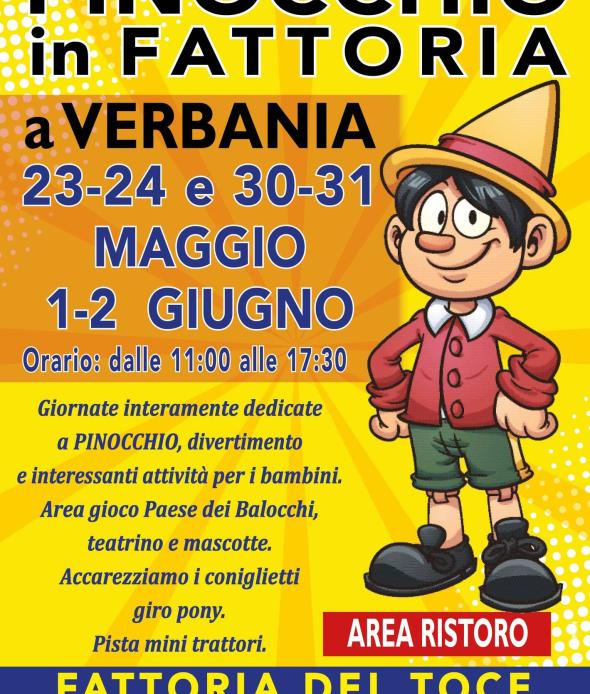 PINOCCHIO IN FATTORIA 