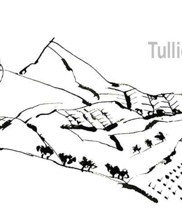 Tullio Pericoli
