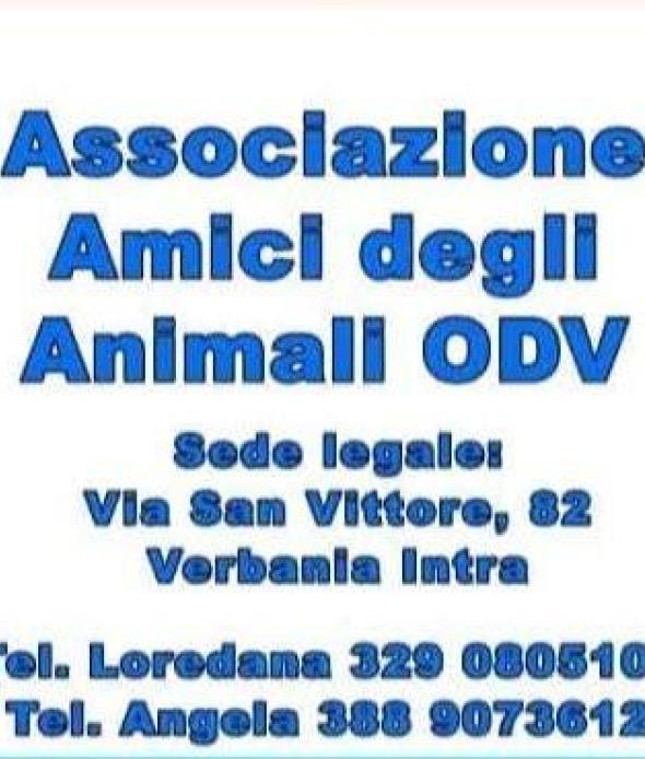 amici degli animali