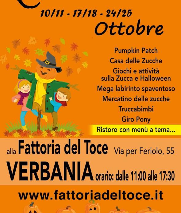 Zucca in Fattoria 2026
