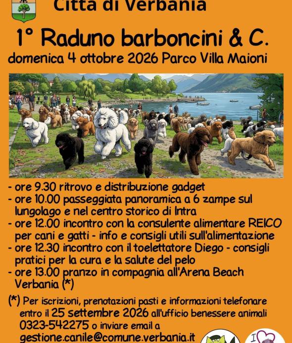 Raduno barboncini 