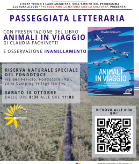 PASSEGGIATA LETTERARIA