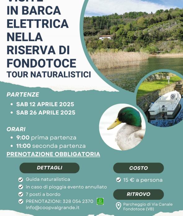 Visite in barca elettrica nella Riserva di Fondotoce aprile