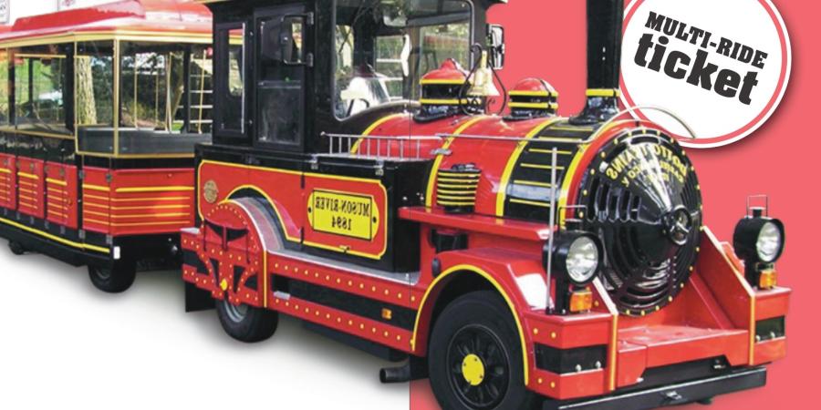 Trenino Città di Verbania 2025