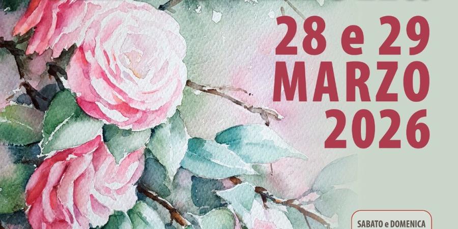 58^ Mostra della Camelia Primaverile a Verbania