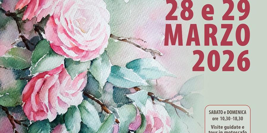 58^ Mostra della Camelia Primaverile a Verbania