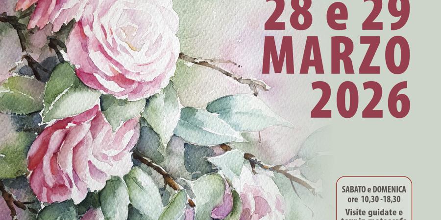 58^ Mostra della Camelia Primaverile a Verbania