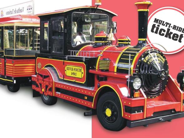 Trenino turistico