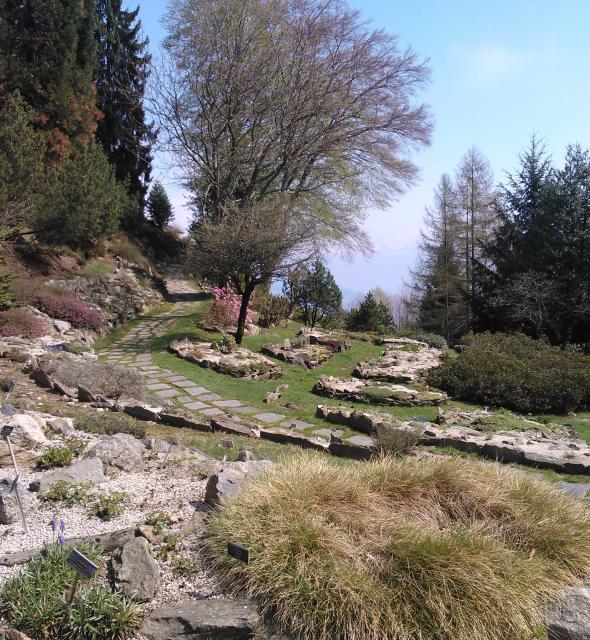 @ Giardino botanico Alpinia