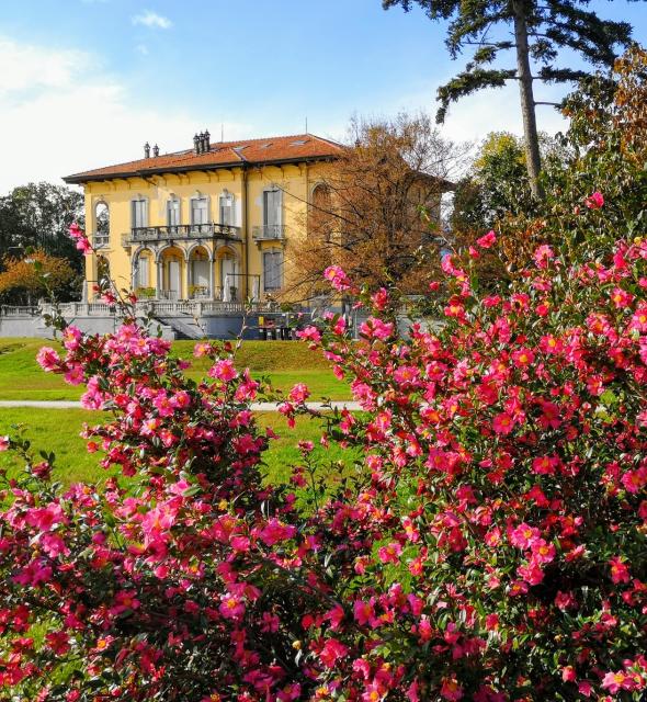 Villa Maioni