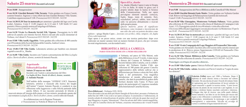 depliant camelia primaverile retro