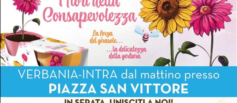 Raccolta Fondi Progetto Endometriosi