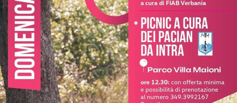 pink-nic