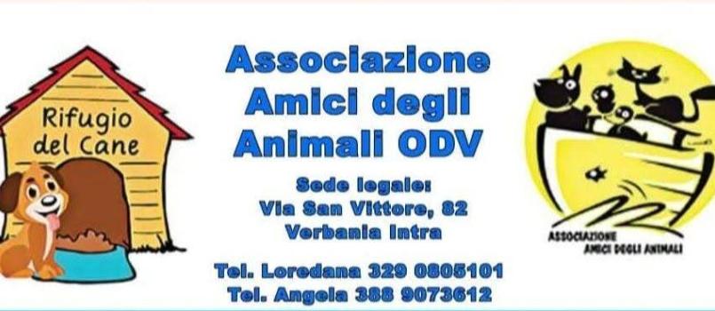 amici degli animali