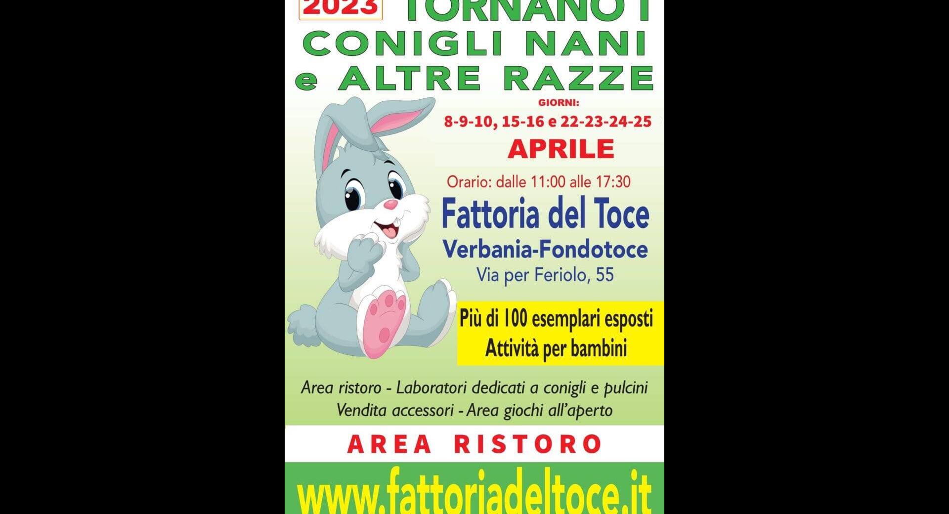 Mostra conigli nani 2023