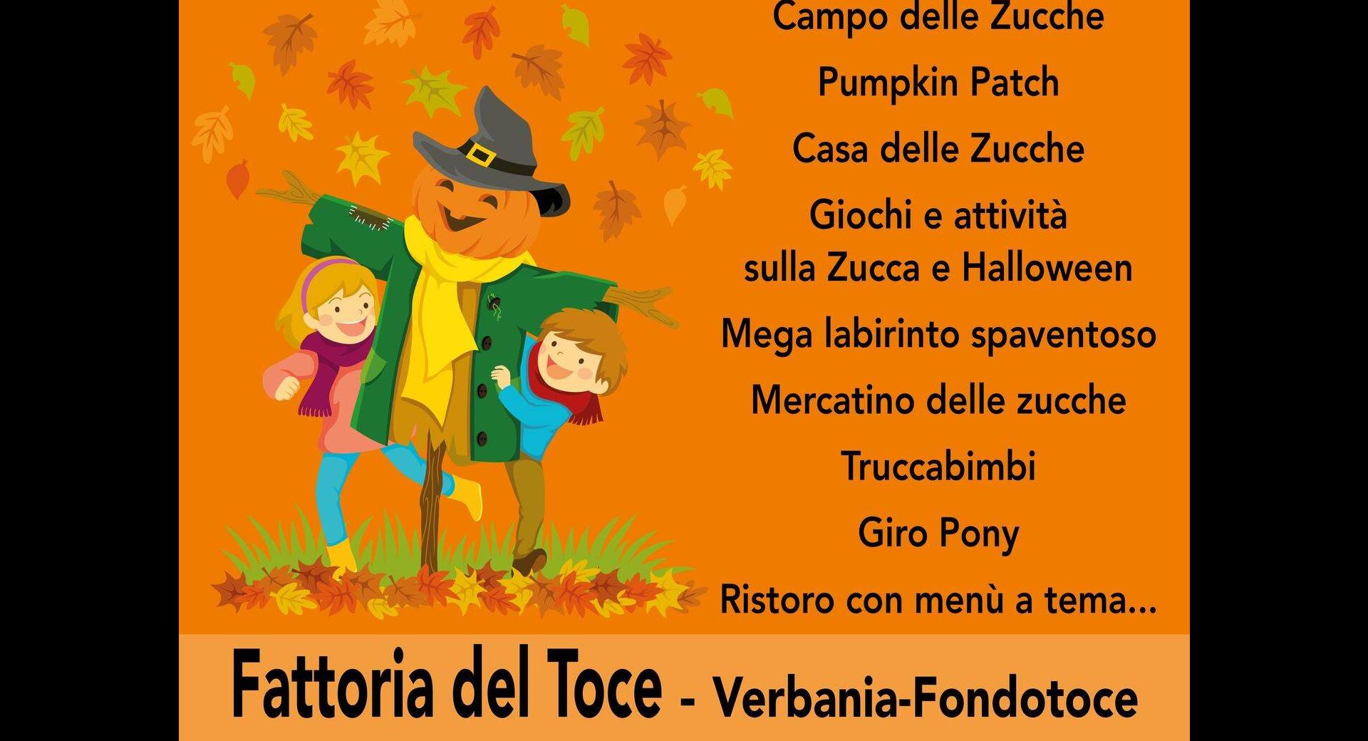 Zucca in Fattoria