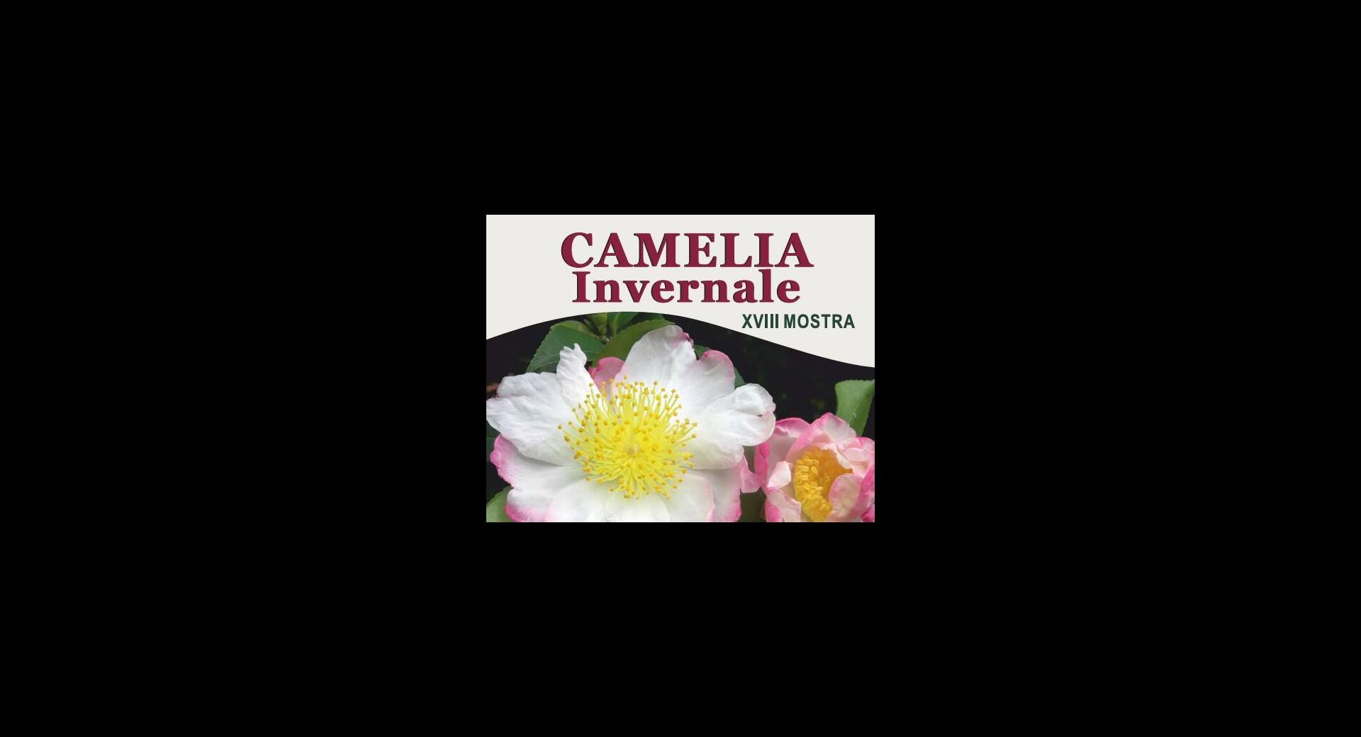 Banner Camelia Invernale 2023