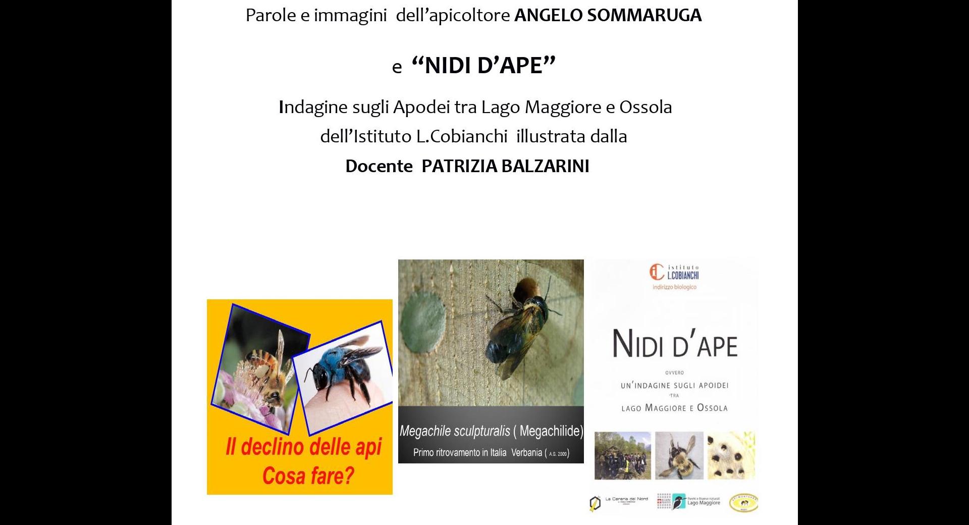 Locandina SOMMARUGA API 13.10.23_page-0001