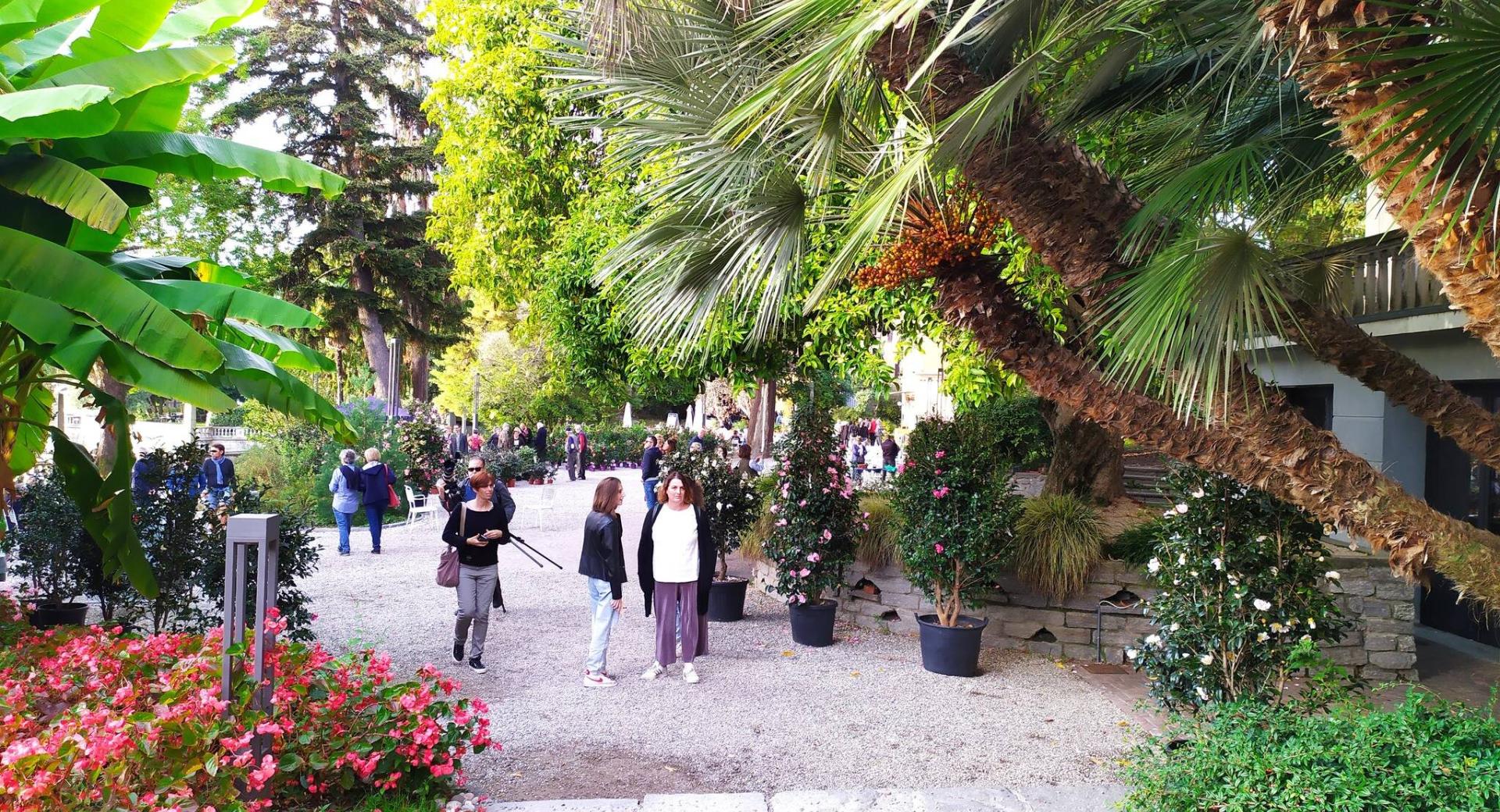 villa giulia pubblico