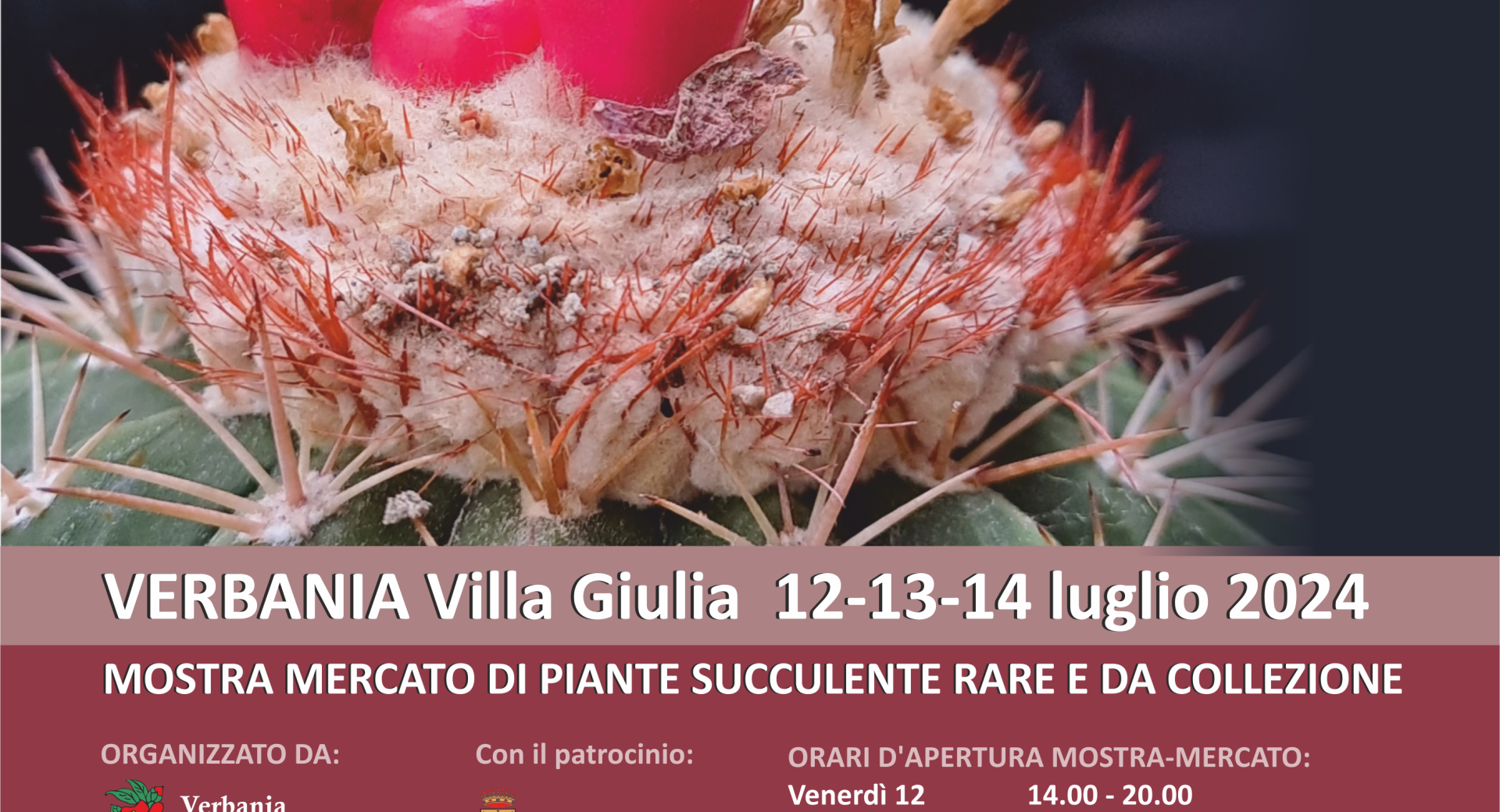Cactus Folies 2024
