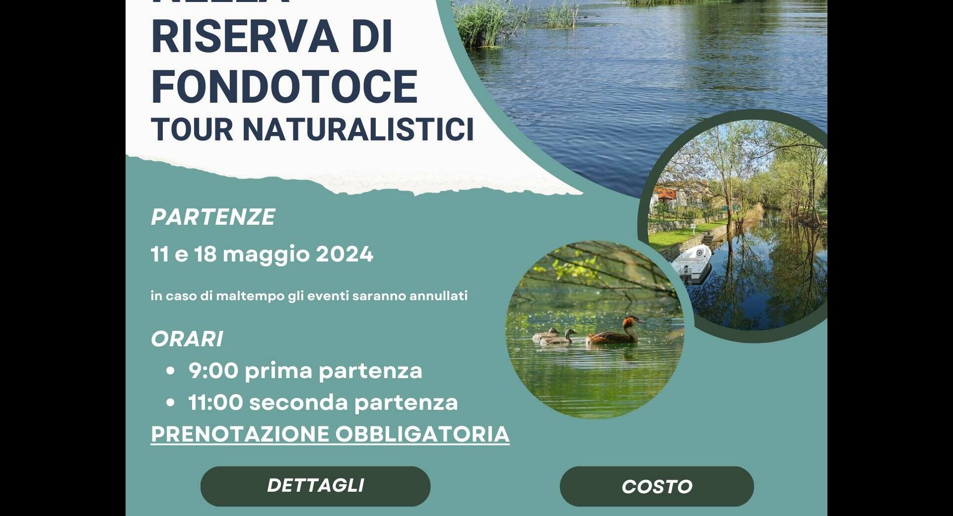 Visite barca elettrica maggio 2024