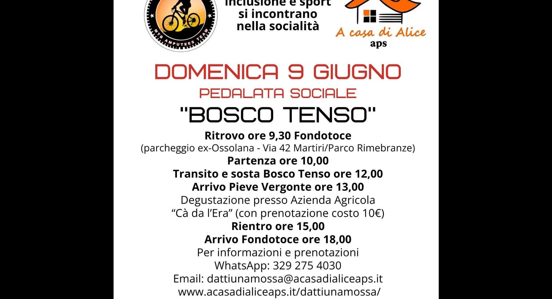 Dattiunamossa 09 06 24