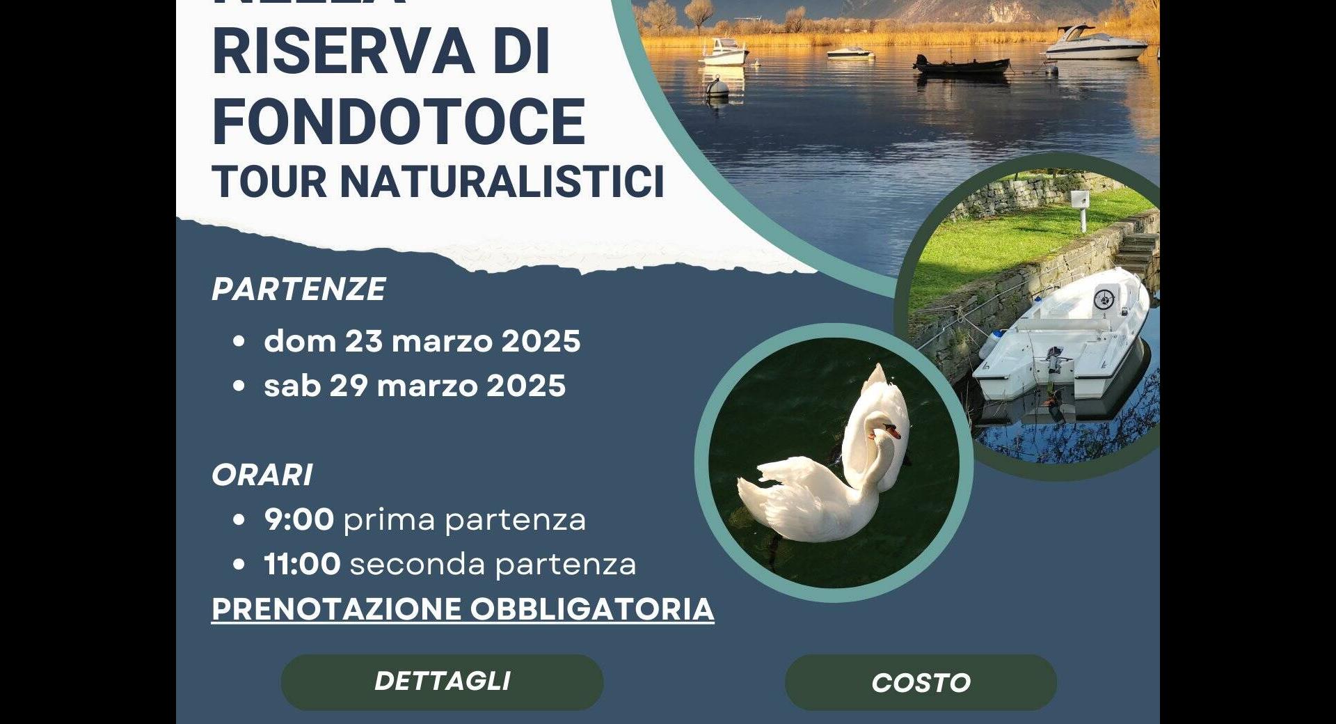 Visite in barca elettrica nella Riserva di Fondotoce