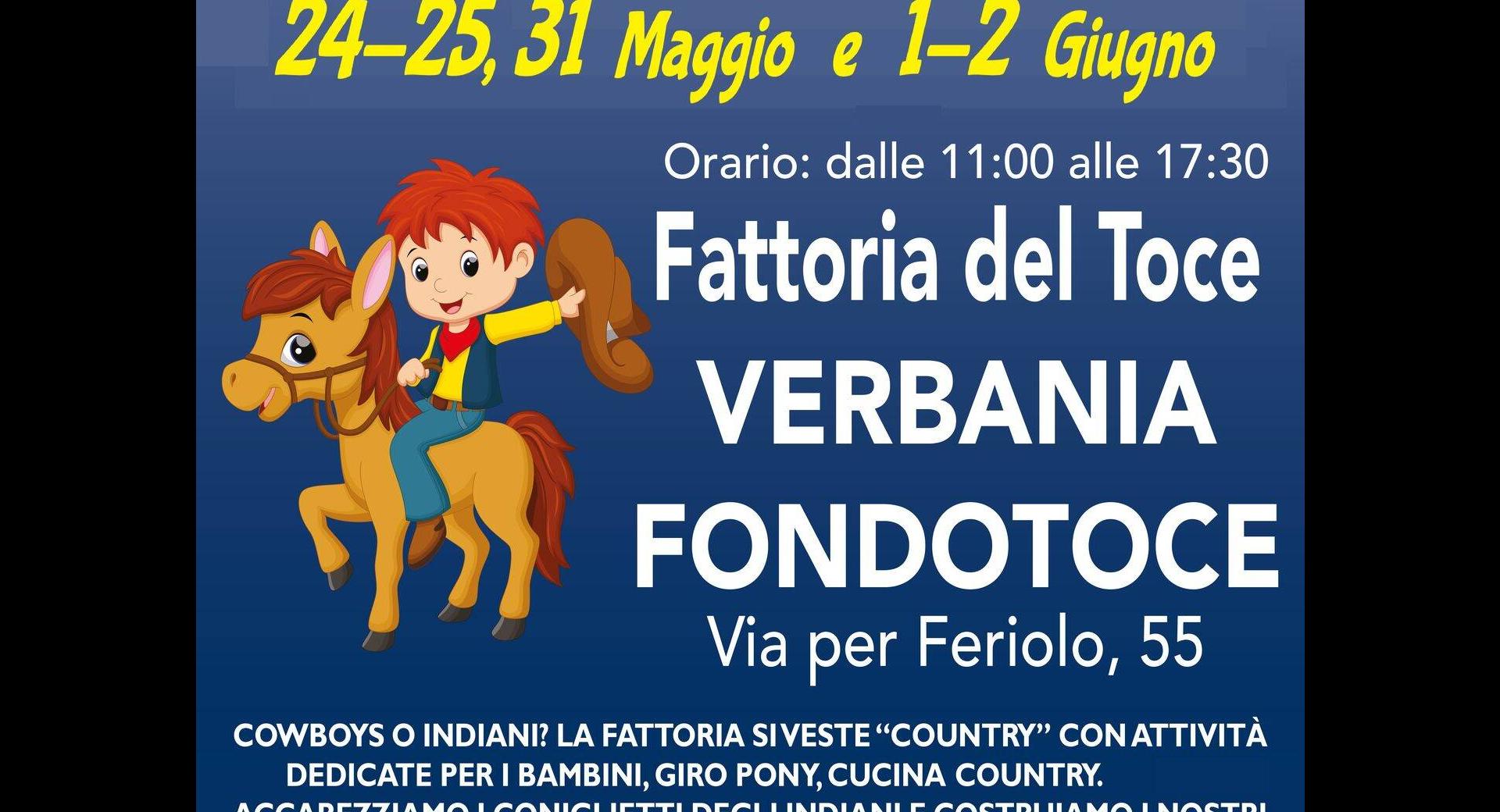 Country Days - Game day in Fattoria 