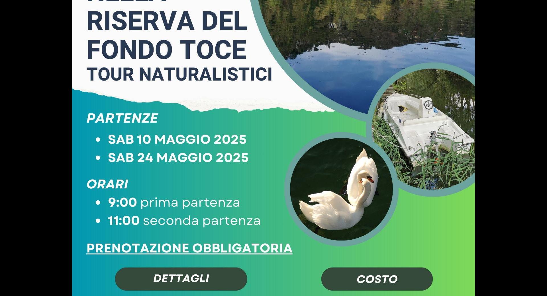 Visite in barca elettrica nella Riserva di Fondotoce