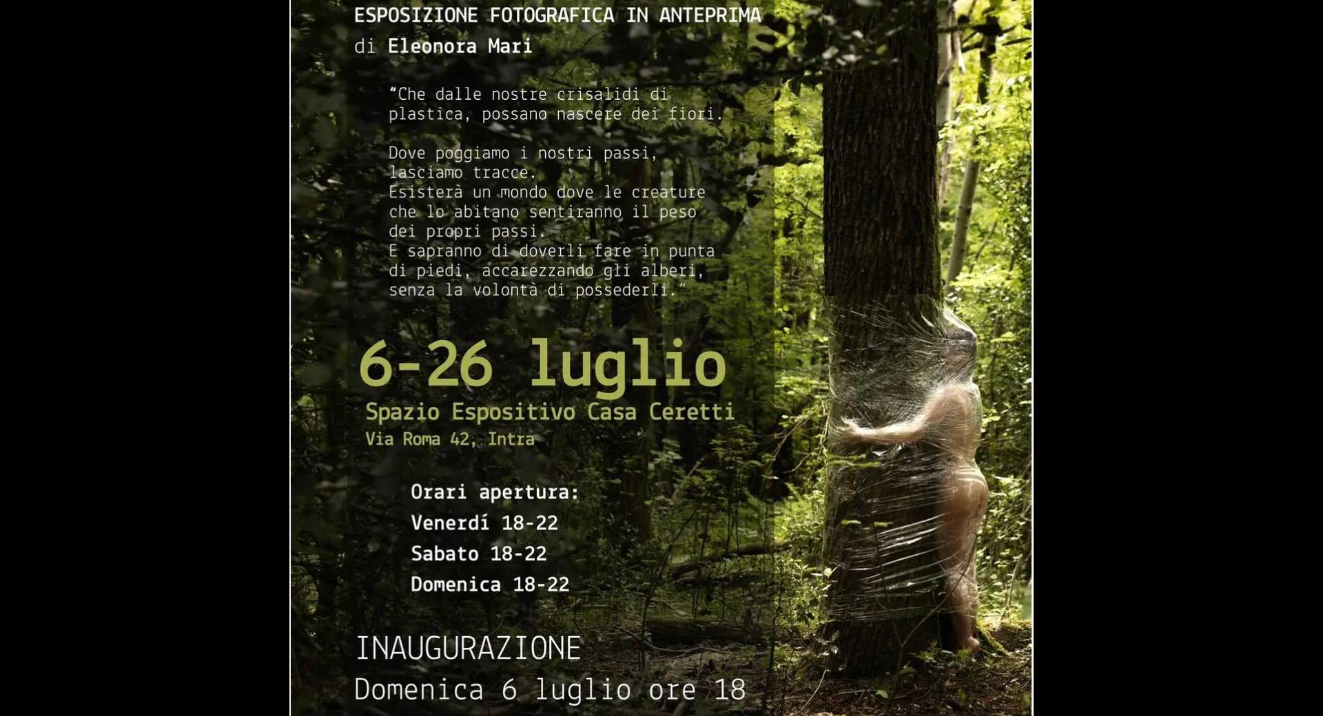 Mostra: Crisalidi